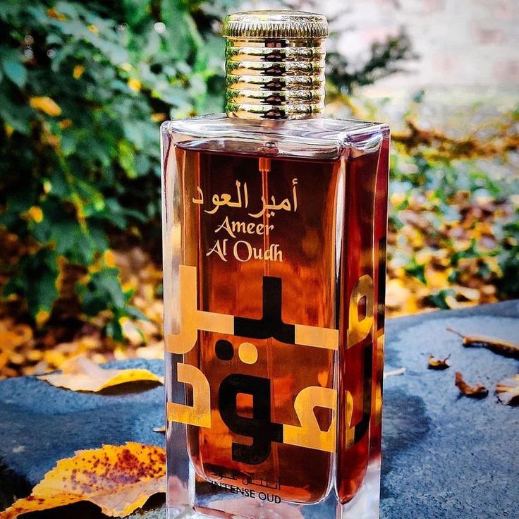 Lattafa Ameer Al Oudh Intense Eau de Parfum For Unisex